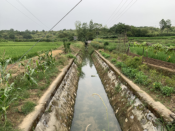 汨罗市飘峰灌区续建配套与节水改造项目